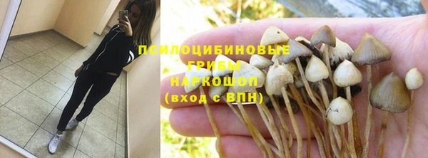 тгк Бронницы