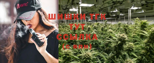 тгк Бронницы