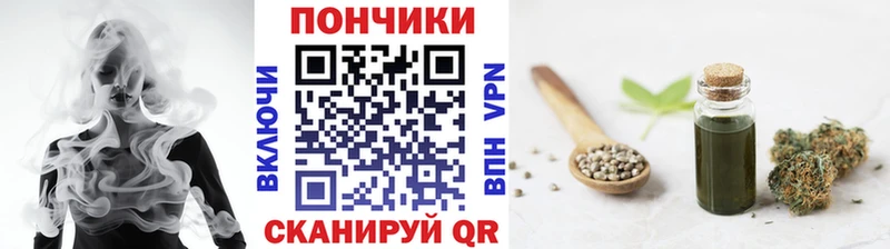 Бошки Шишки THC 21%  как найти закладки  Ессентукская 